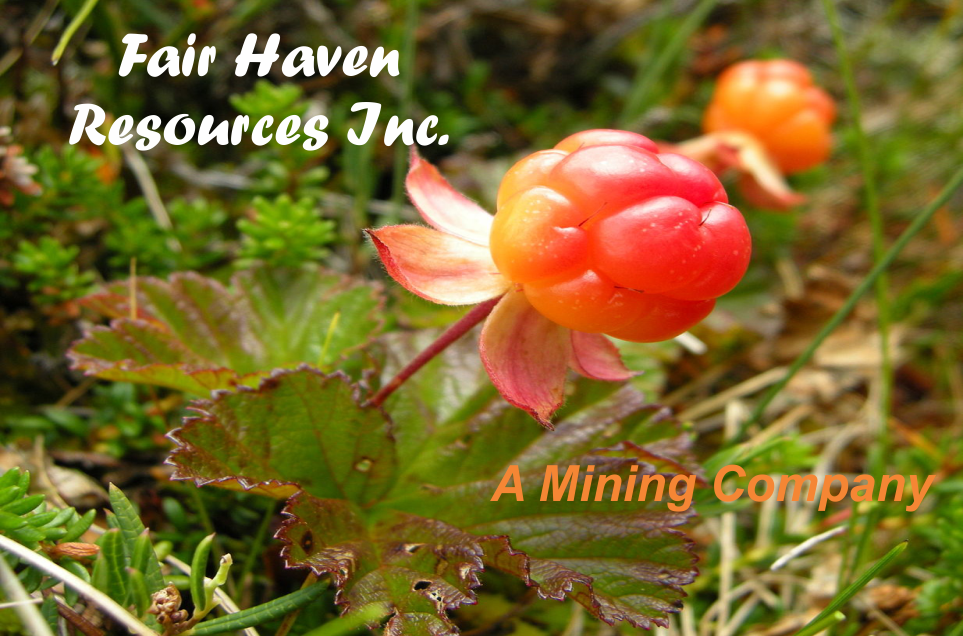 Fair Haven Resources Inc. Logo